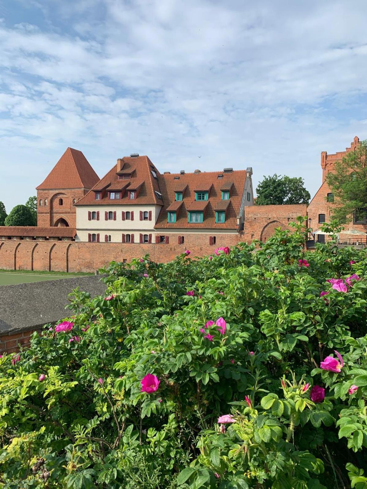 Apartament Krysztalowy Ac Progres Stary Toruń Kültér fotó